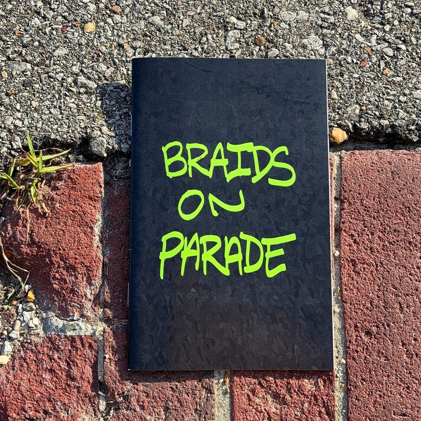 Braids on Parade Zine