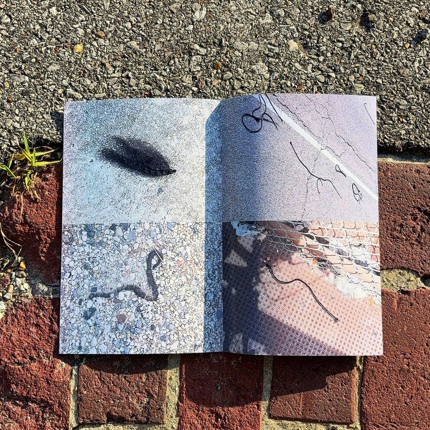 Braids on Parade Zine