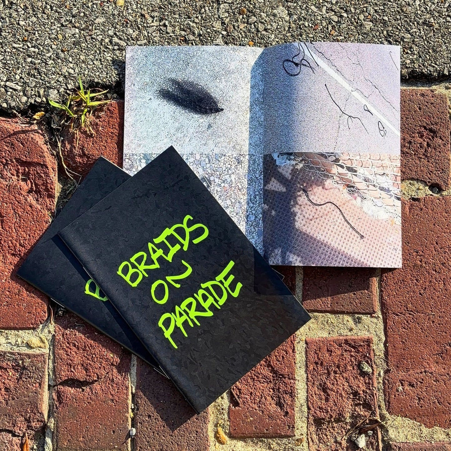 Braids on Parade Zine